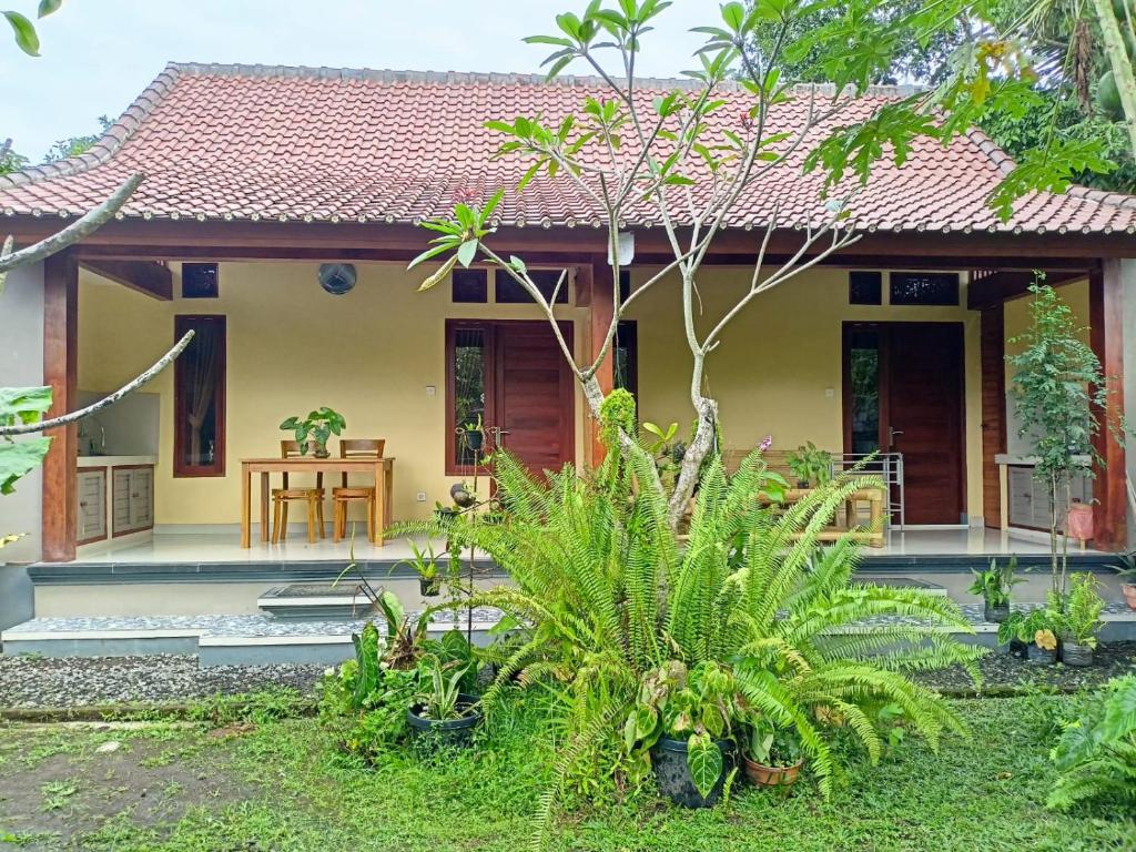 Bali Asli Guest House